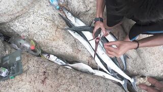 Fishing in Phuket прогулка по Patong и Paradise Beach с удочкой