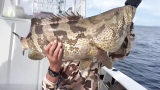 Welcome to the Ultimate Deep Sea Fishing Experience in Phuket! | Phuket Fishing Club