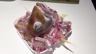 Welcome to the Ultimate Deep Sea Fishing Experience in Phuket! | Phuket Fishing Club