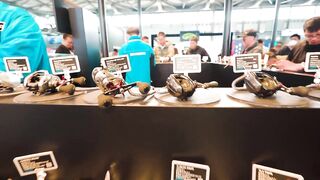 Shanghai 2024: рыболовная выставка в Китае что продают и сколько стоит?