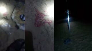 phan thiết 21.11.2022 câu cá ngao biển и простая снасть на мелководье