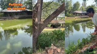 Морская рыбалка в Муйне, Вьетнам: пирании атакуют приманку у берега