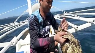 Креветка мантис как наживка неожиданный результат морской охоты