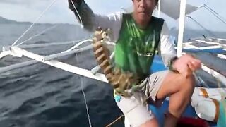 Креветка мантис как наживка неожиданный результат морской охоты