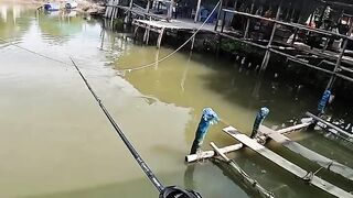 Nff gắn lưỡi có lò so câu cá mú ở địa hình phức tạp #fishing
