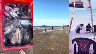 Biển Mũi Né Муйне живые морепродукты и прилавки прямо у воды