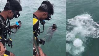 Scuba Diving At Unawatuna #diving #srilankatravelvlog #visitsrilanka #divingcourse #unawatuna