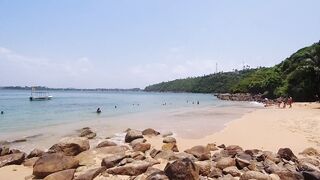 Underwater Sri Lanka - Unawatuna. Jungle Beach. Reef and Coral Fish. Diving and Snorkeling tour.