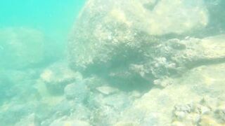 Underwater Sri Lanka - Unawatuna. Jungle Beach. Reef and Coral Fish. Diving and Snorkeling tour.