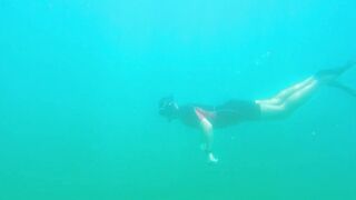 Underwater Sri Lanka - Unawatuna. Jungle Beach. Reef and Coral Fish. Diving and Snorkeling tour.