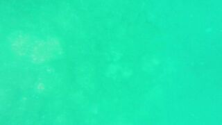 Underwater Sri Lanka - Unawatuna. Jungle Beach. Reef and Coral Fish. Diving and Snorkeling tour.