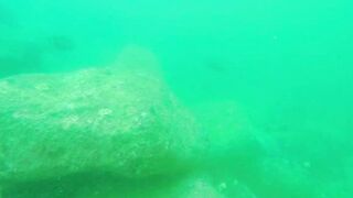 Underwater Sri Lanka - Unawatuna. Jungle Beach. Reef and Coral Fish. Diving and Snorkeling tour.