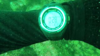 Underwater Sri Lanka - Unawatuna. Jungle Beach. Reef and Coral Fish. Diving and Snorkeling tour.