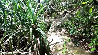 Унаватуна Sri Lanka: поиск мест под спиннинг и разбор береговой линии