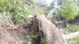 Sri Lanka නයි ඔලුවොන්ට කටු බැන්දා что за снасть и на кого она?