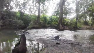 Sri Lanka නයි ඔලුවොන්ට කටු බැන්දා что за снасть и на кого она?