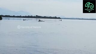 Sri Lanka උඩවලවේ ночной выезд 38 лет подряд что там ловят до утра?