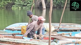 Sri Lanka උඩවලවේ ночной выезд 38 лет подряд что там ловят до утра?