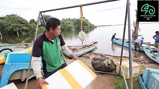 Sri Lanka උඩවලවේ ночной выезд 38 лет подряд что там ловят до утра?