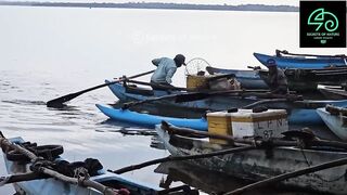 Sri Lanka උඩවලවේ ночной выезд 38 лет подряд что там ловят до утра?