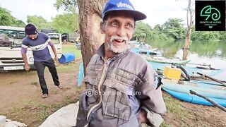 Sri Lanka උඩවලවේ ночной выезд 38 лет подряд что там ловят до утра?