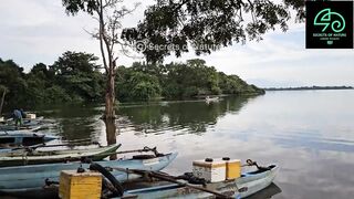 Sri Lanka උඩවලවේ ночной выезд 38 лет подряд что там ловят до утра?