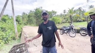 Deduru Oya Sri Lanka как ловят පට්ට මාළු и чем приманивают