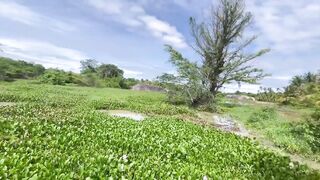 Deduru Oya Sri Lanka как ловят පට්ට මාළු и чем приманивают