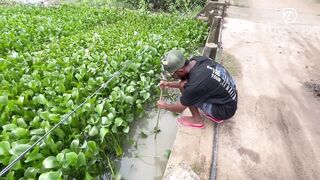 Deduru Oya Sri Lanka как ловят පට්ට මාළු и чем приманивают