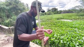 Deduru Oya Sri Lanka как ловят පට්ට මාළු и чем приманивают