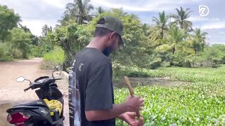 Deduru Oya Sri Lanka как ловят පට්ට මාළු и чем приманивают