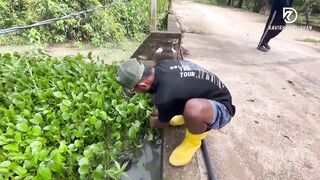 Deduru Oya Sri Lanka как ловят පට්ට මාළු и чем приманивают