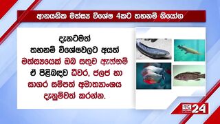 Sri Lanka: запрет на 4 импортных рыб пирания и кто ещё под баном?