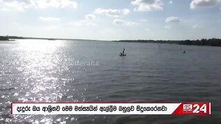 Sri Lanka: запрет на 4 импортных рыб пирания и кто ещё под баном?