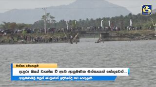 Sri Lanka දැදුරු ඔය игра против инвазивной рыбы кто захватчик?