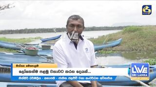 Sri Lanka දැදුරු ඔය игра против инвазивной рыбы кто захватчик?