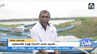 Sri Lanka දැදුරු ඔය игра против инвазивной рыбы кто захватчик?