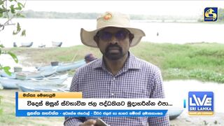 Sri Lanka දැදුරු ඔය игра против инвазивной рыбы кто захватчик?