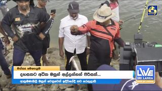 Sri Lanka දැදුරු ඔය игра против инвазивной рыбы кто захватчик?