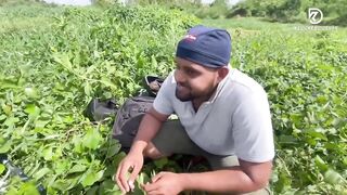 Sri Lanka - Maguru Oya Fishing странный опыт с рыбой из දැදුරු ඔය