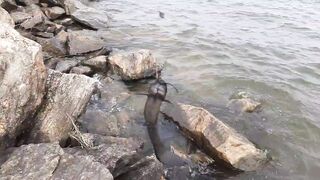 「යමං」 Sri Lanka куда поехать на ловлю и что там клюет?