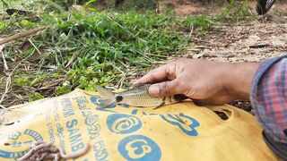 「යමං」 Sri Lanka куда поехать на ловлю и что там клюет?