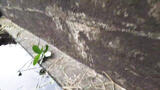 「යමං」 Sri Lanka куда поехать на ловлю и что там клюет?