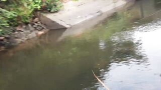 「යමං」 Sri Lanka куда поехать на ловлю и что там клюет?