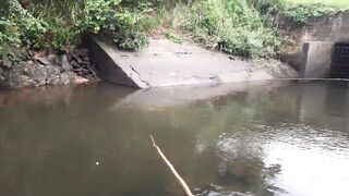 「යමං」 Sri Lanka куда поехать на ловлю и что там клюет?