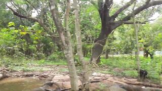 「යමං」 Sri Lanka куда поехать на ловлю и что там клюет?