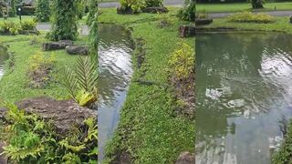 Khao Lak Таиланд маленький варан на тропе рыбалка тут рядом или нет?