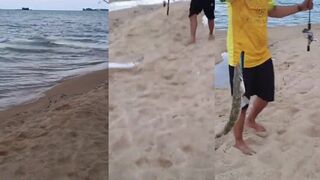 ตกปลาชายฝั่ง каждыйหมาย дает поклевку или просто кажется на видео?