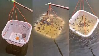 ตกปลาซิว ชีวิตติดสวน мелочь на крючке зачем она нужна?