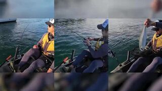 The first run was absolute Chaos #kingfish #kayakfishingtips #fishing